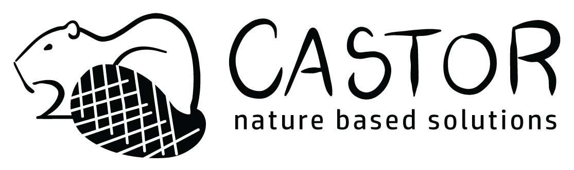 CASTOR